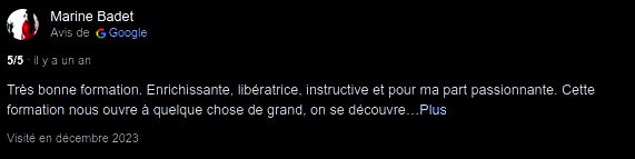 Avis Google